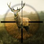 Hunting Simulator