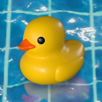 Placid Plastic Duck Simulator icon