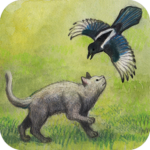 Milo and the Magpies