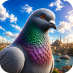 Pigeon Paradise